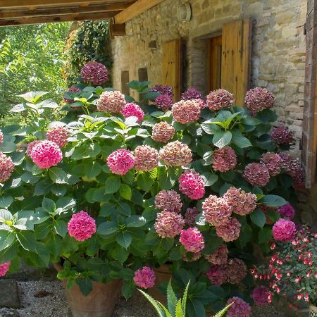 Bed and Breakfast Casa La Valle, Gubbio, Frazione Santa Cristina Exterior foto